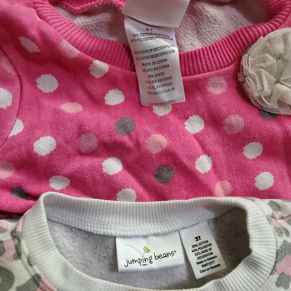 2T Girl Long Sleeve, Pants, Sweatshirt Lot